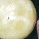 Illustration for article titled NASA interrogates 73-year-old grandmother for selling moon rocks